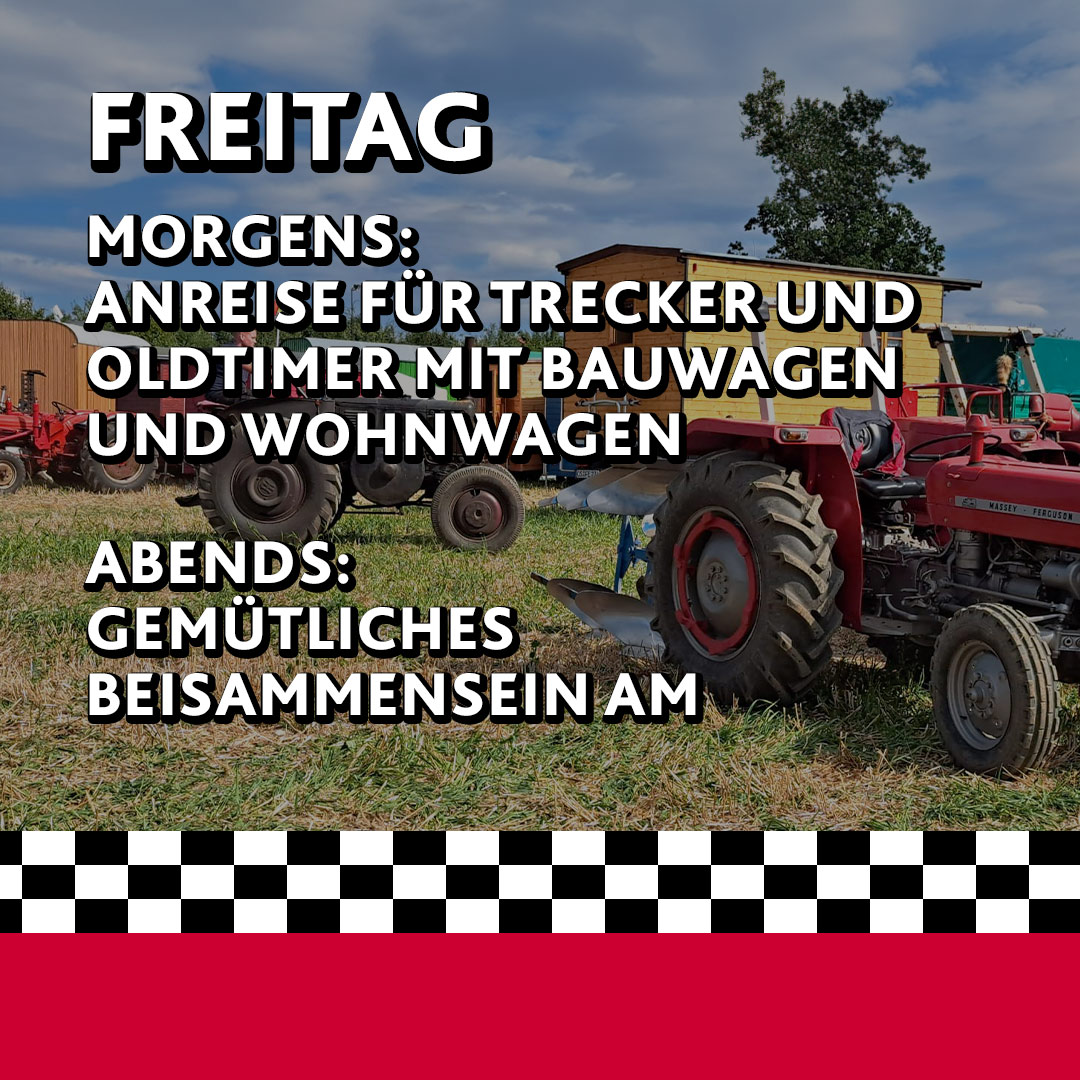 Programm Freitag